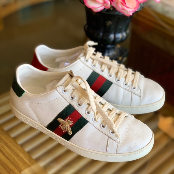 gucci ace web